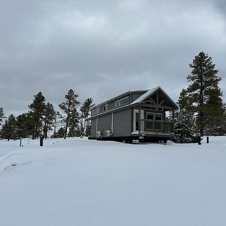 Cozy Cabin By Forest View 4B Williams Exteriör bild