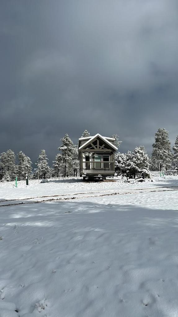 Cozy Cabin By Forest View 4B Williams Exteriör bild